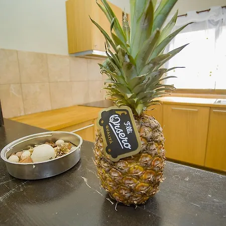 088 Katinka Magic Relax - Alicante דירה *